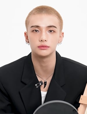 Stray Kids Hyunjin AI voice text to speech and AI music cover generator